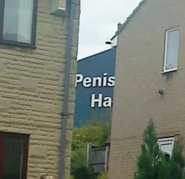 shitgoosemcgillicudy OnlyFans profile picture