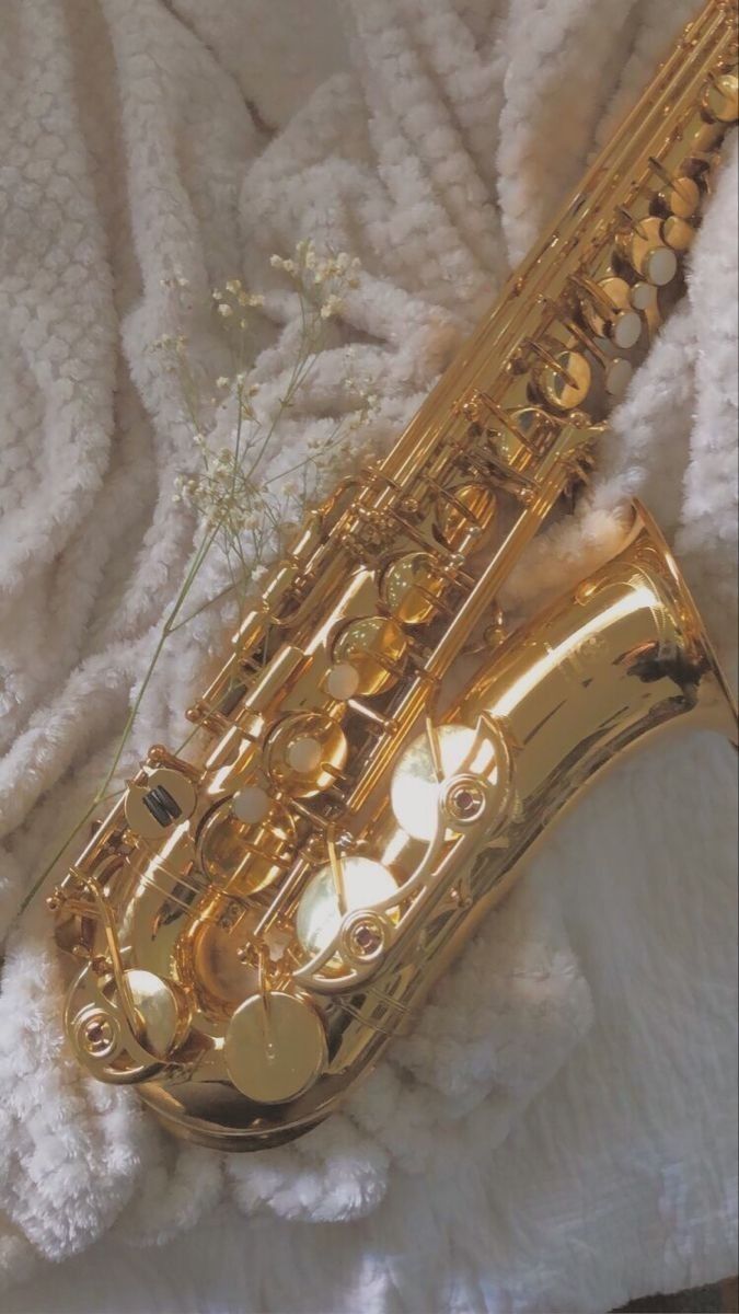 tomssheffer OnlyFans profile picture