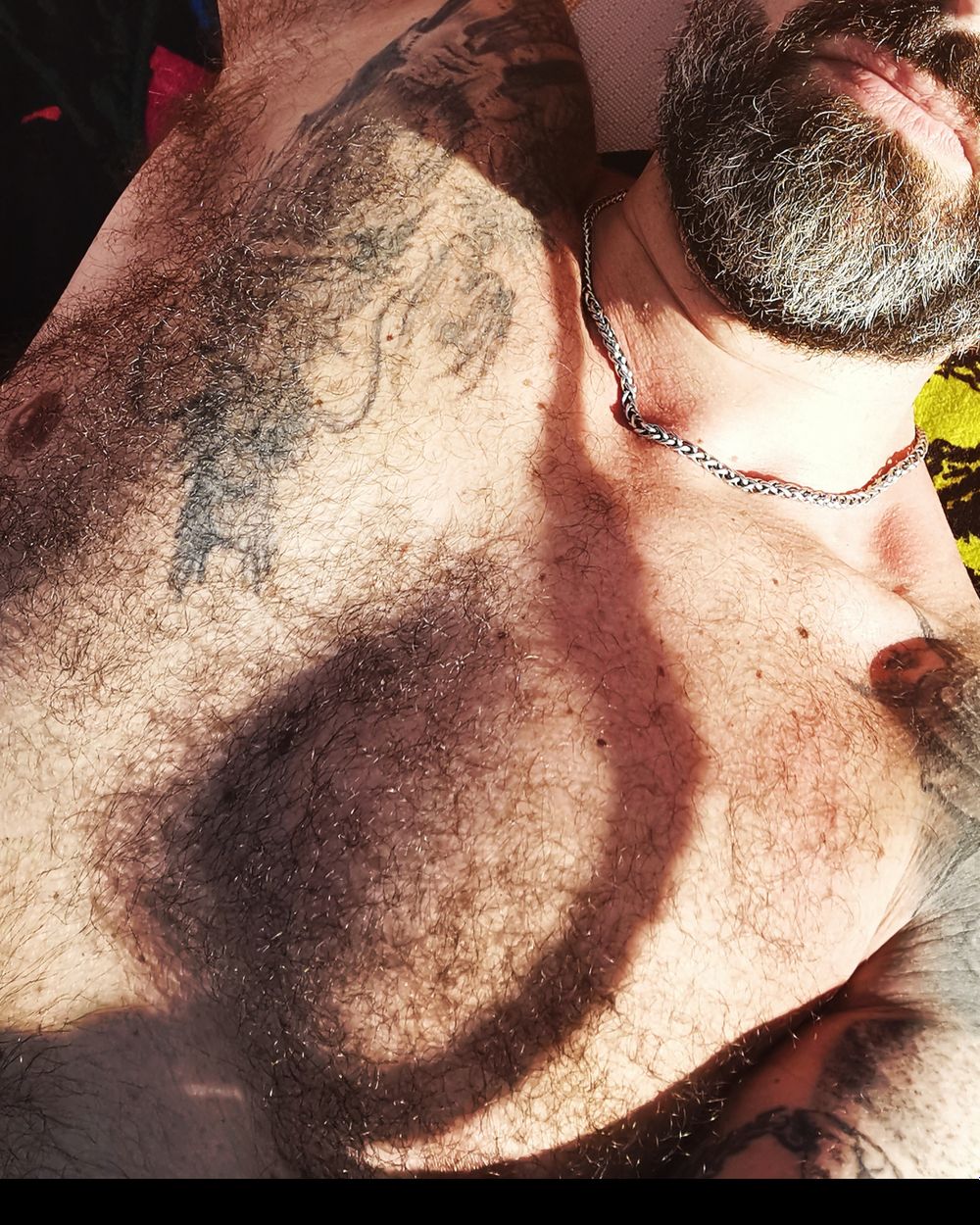 big_p3dr0 OnlyFans profile picture
