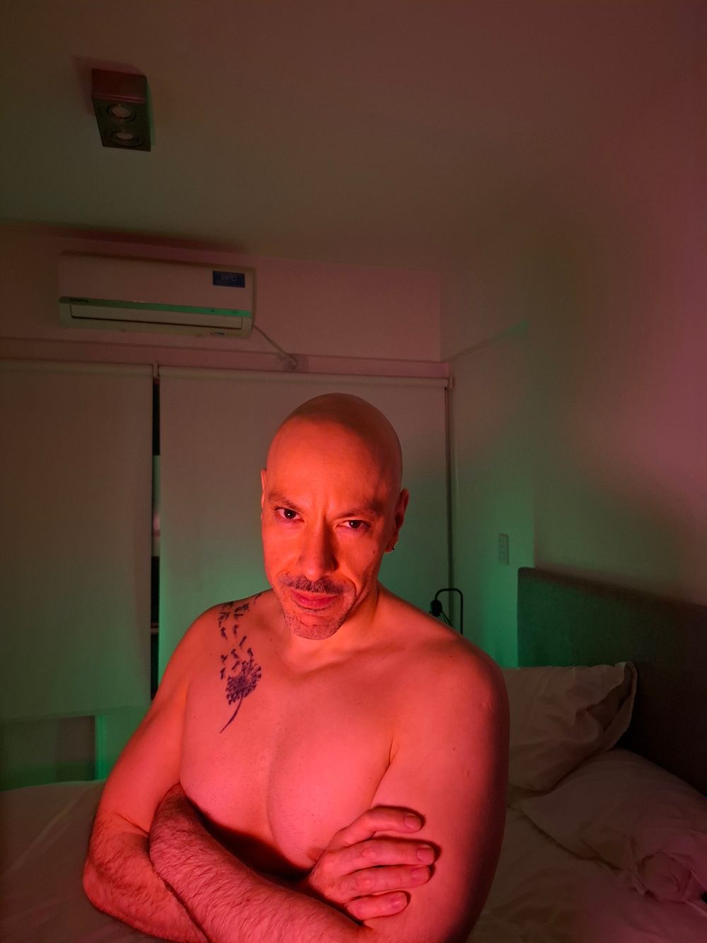 peladocalentonfree OnlyFans profile picture