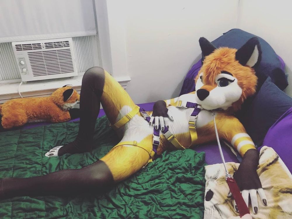 parkerfuxgirls OnlyFans profile picture