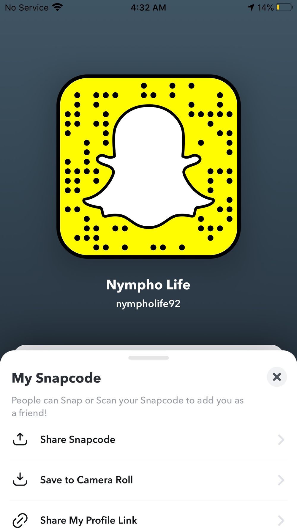 nympholife OnlyFans profile picture
