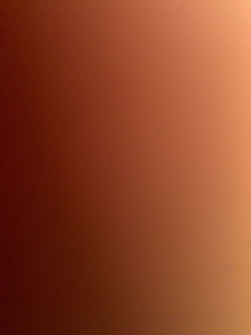 niav1423 OnlyFans profile picture