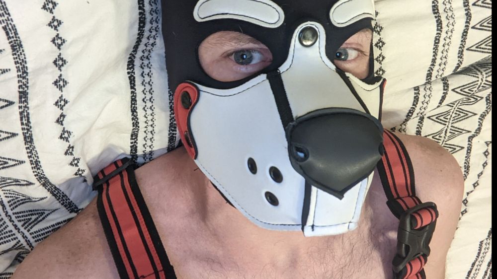 pup_chrono OnlyFans profile picture