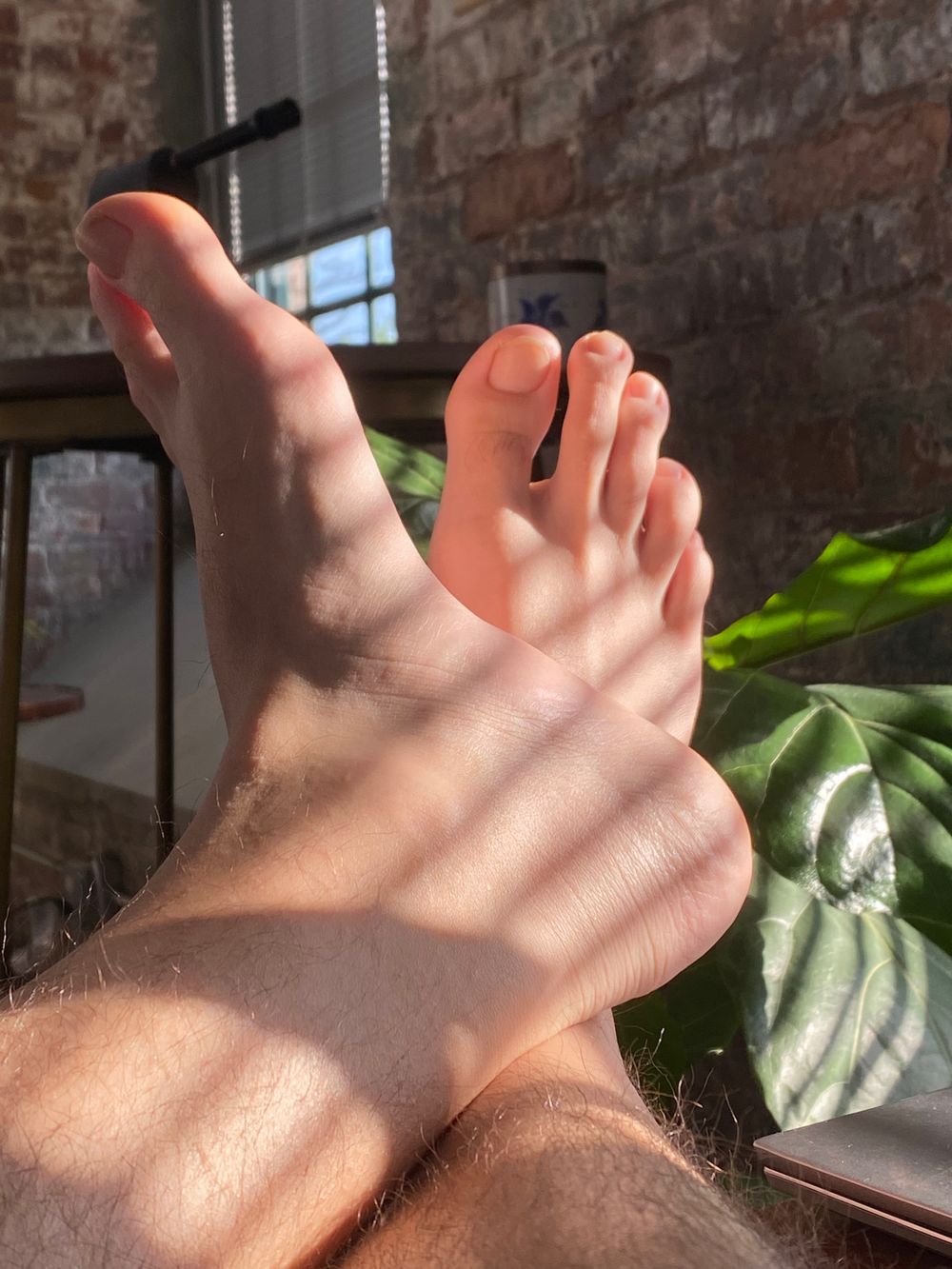 sillywank OnlyFans profile picture