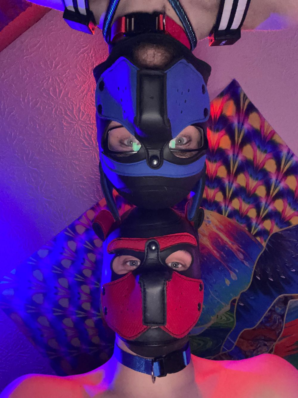 puppytubers OnlyFans profile picture