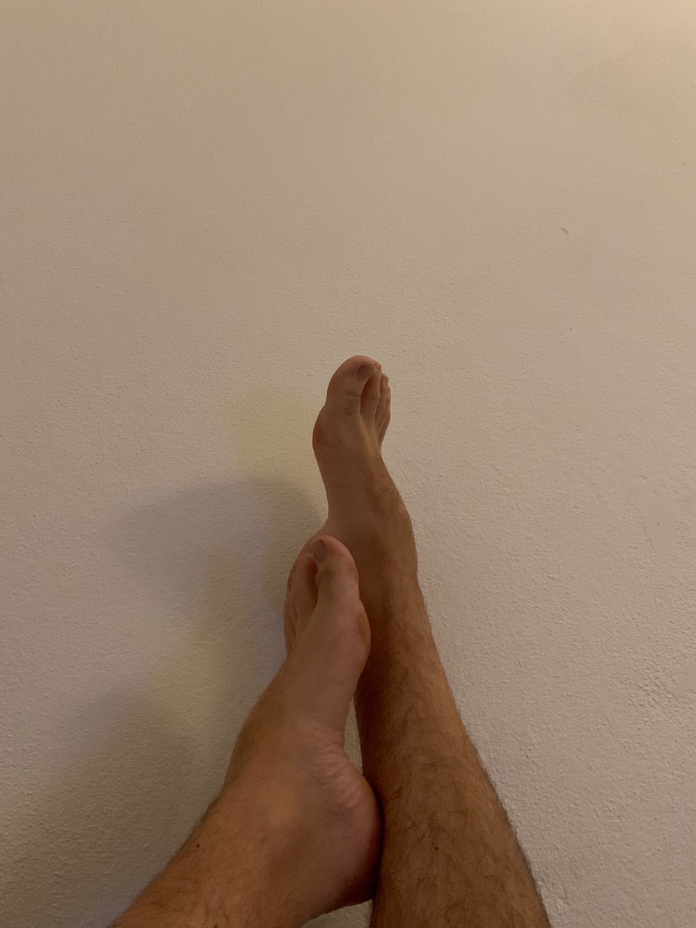 feetuccini_bolognese OnlyFans profile picture