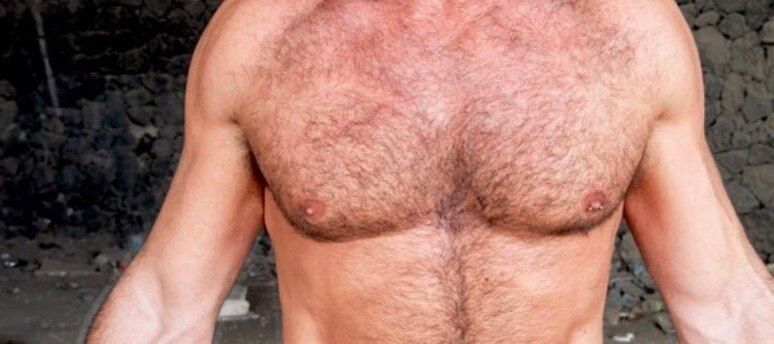 maelhunterxlcollabs OnlyFans profile picture