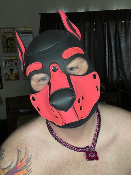 phoenixpup9998 OnlyFans picture