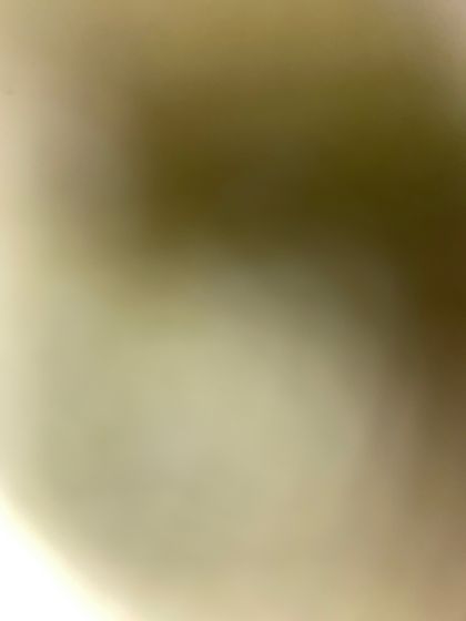 lovergirl1235 OnlyFans picture