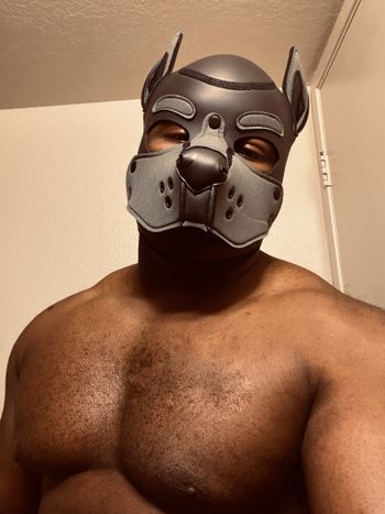 cyrusnxxx OnlyFans profile picture