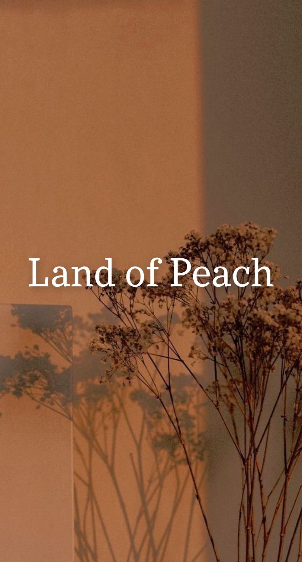 landofpeach OnlyFans profile picture