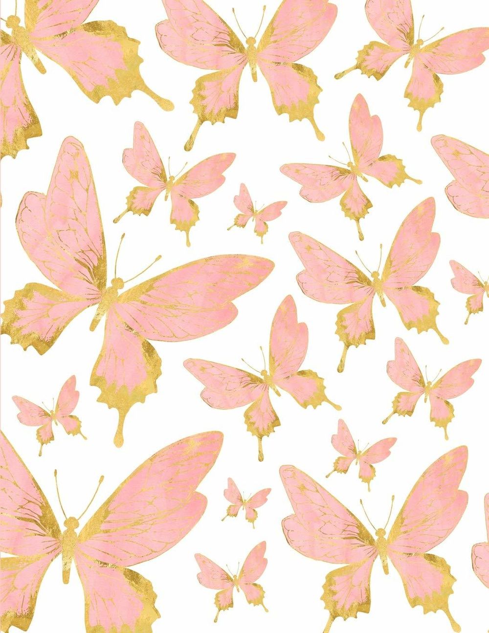 butterflypassion OnlyFans profile picture