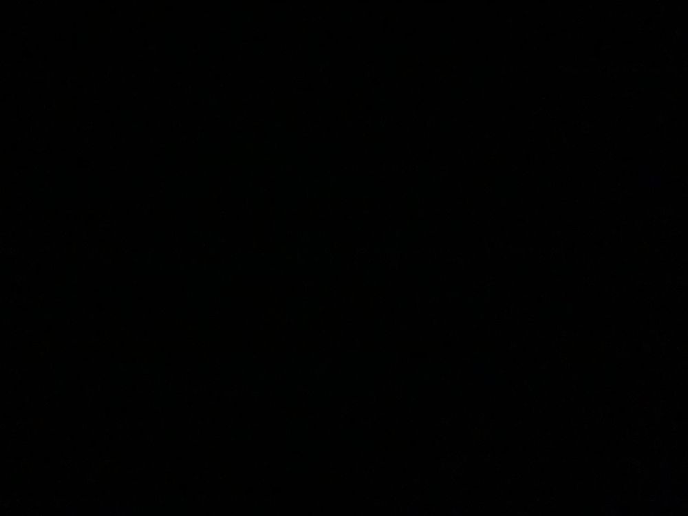 maxxlongg OnlyFans profile picture