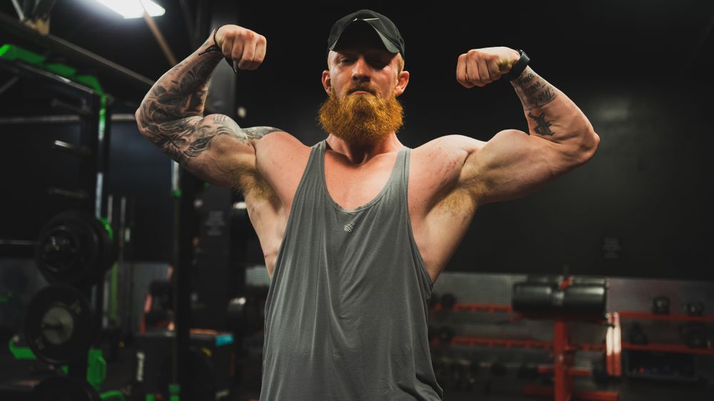alphamuscle1 OnlyFans profile picture