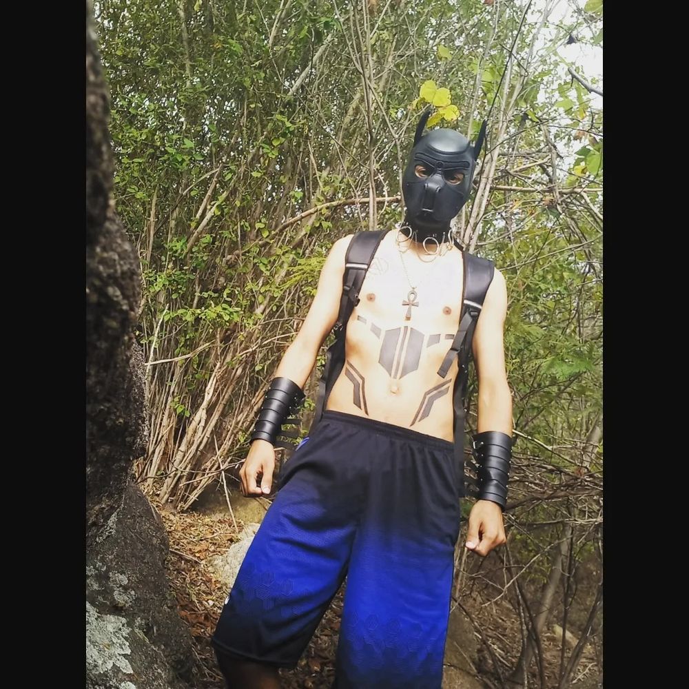lobo_lupim OnlyFans profile picture