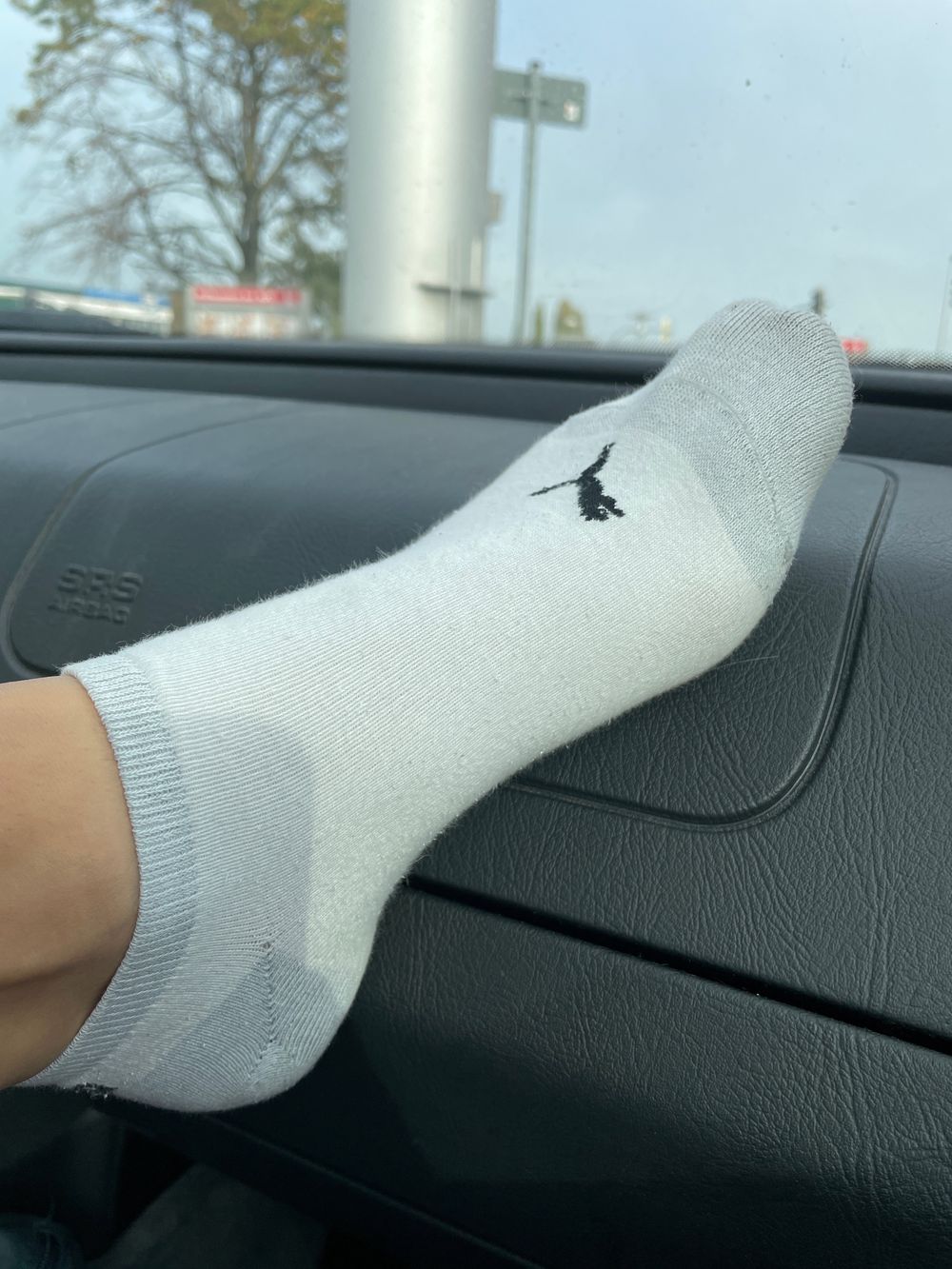 aijara OnlyFans profile picture