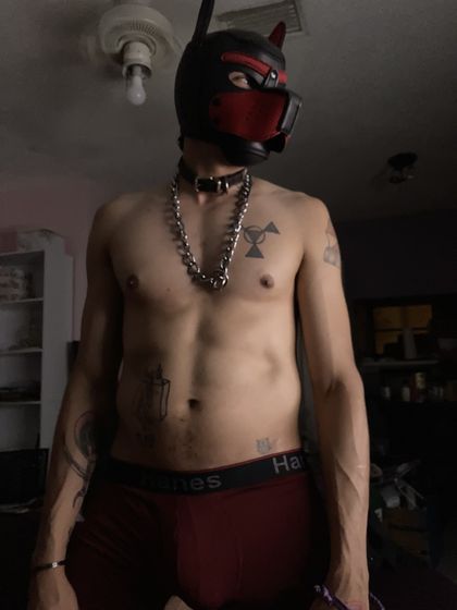 d4rkt00th OnlyFans picture