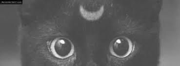 pirvirt OnlyFans profile picture
