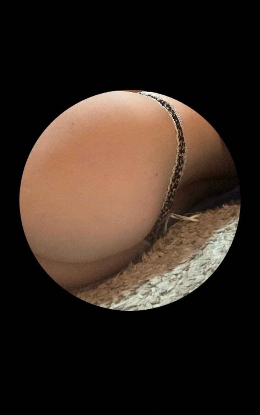 karla1127 OnlyFans profile picture