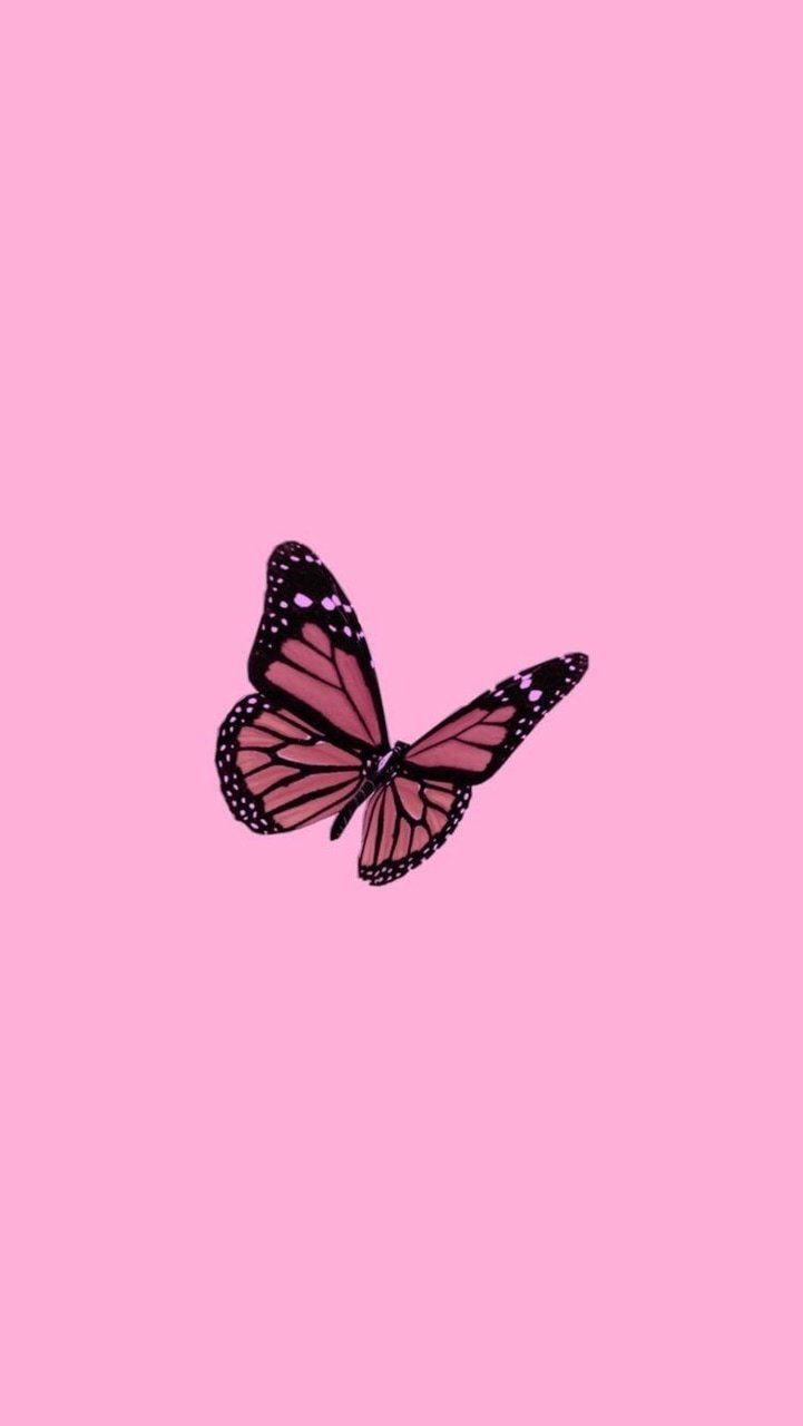 butterpecan92 OnlyFans profile picture