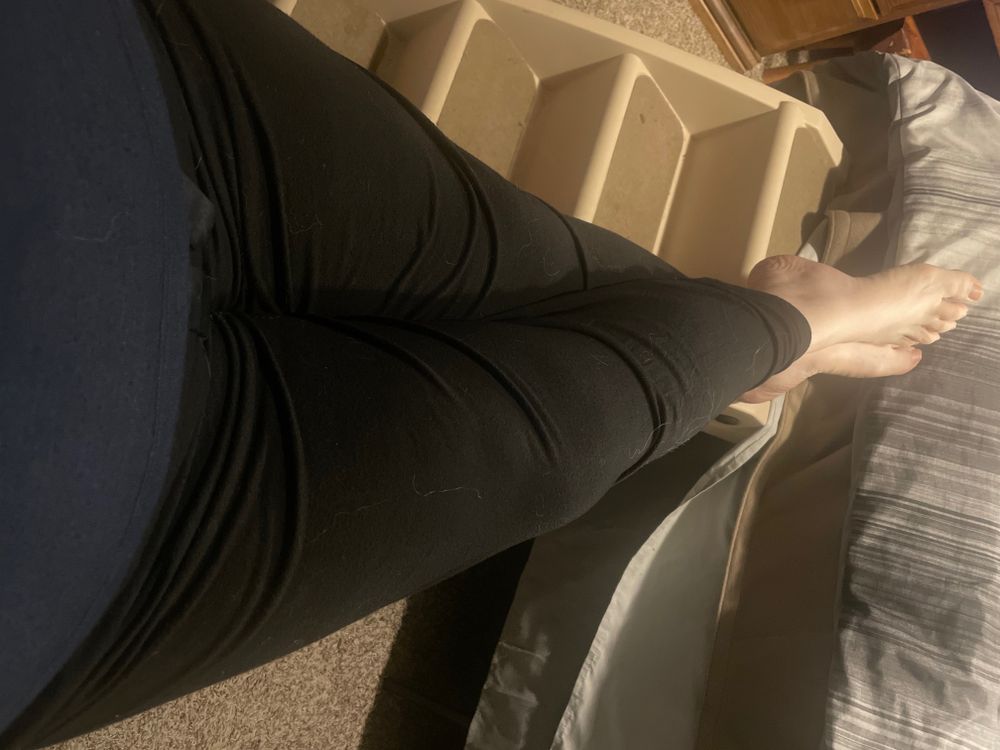 alanabear69 OnlyFans profile picture