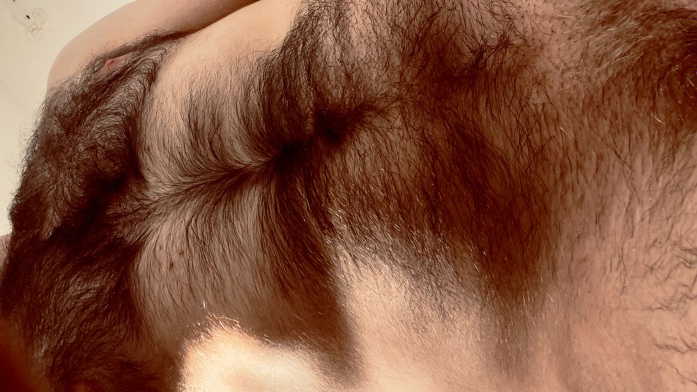 tombearczech OnlyFans profile picture