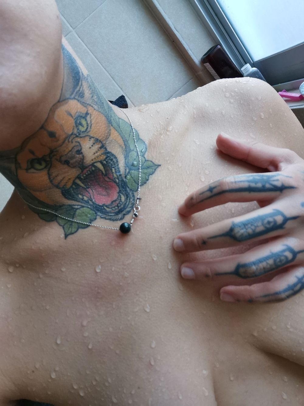 venusebastian OnlyFans profile picture