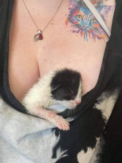 kittiesontitties666 OnlyFans picture