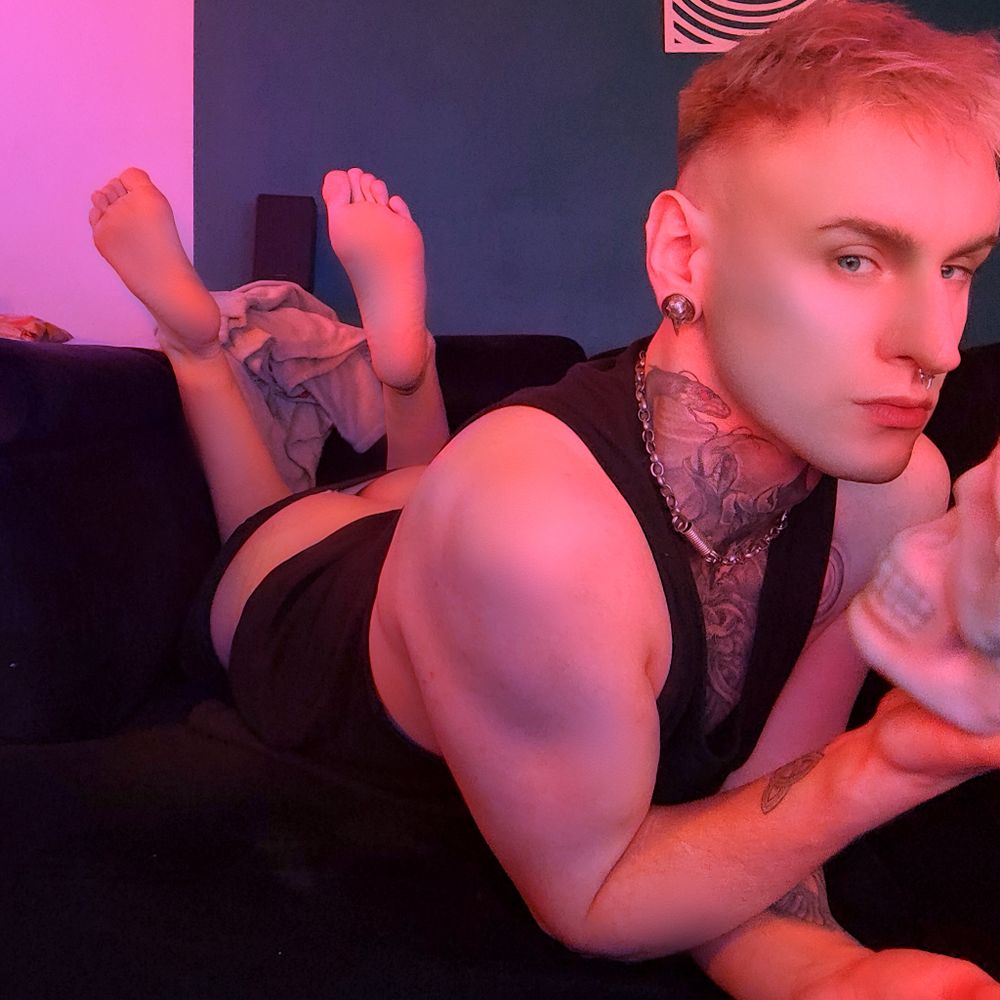 queerlydarkness OnlyFans profile picture