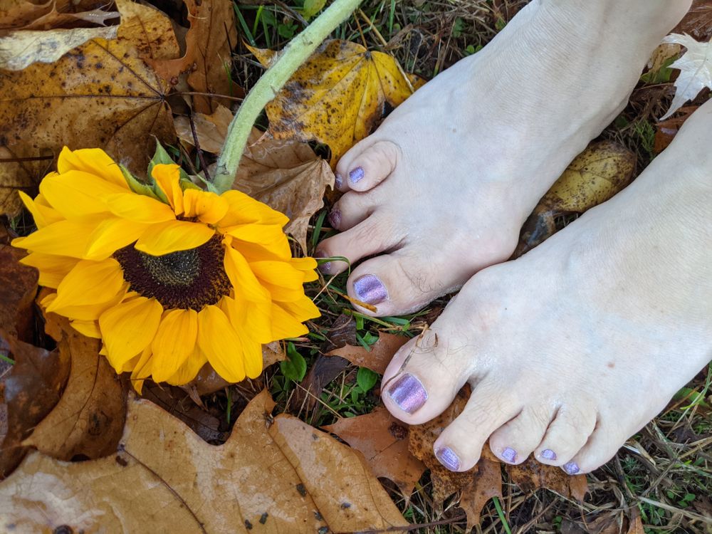 sexytoegirly OnlyFans profile picture