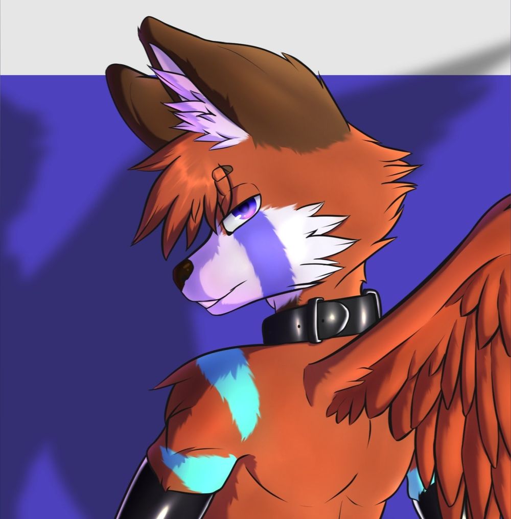 catopanda OnlyFans profile picture
