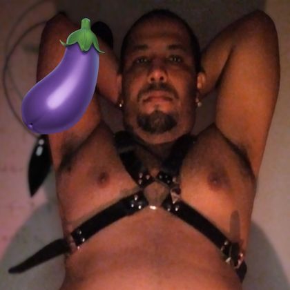 sillychubxxx OnlyFans picture