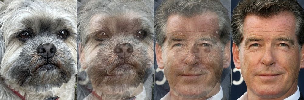 rudythedawg OnlyFans profile picture