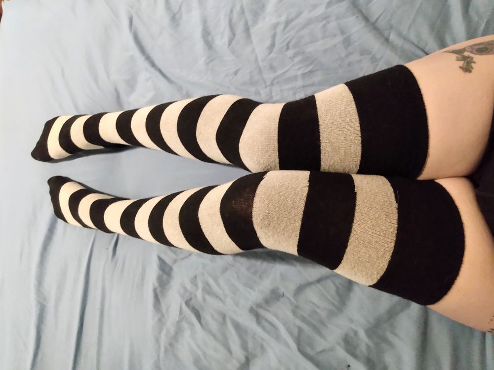 ladybat95 OnlyFans profile picture