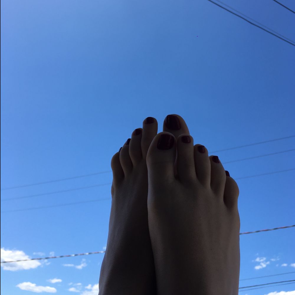 liztorresbr OnlyFans profile picture