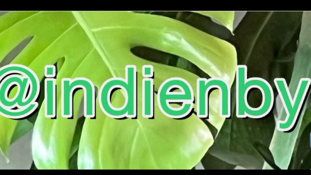 indienby OnlyFans profile picture