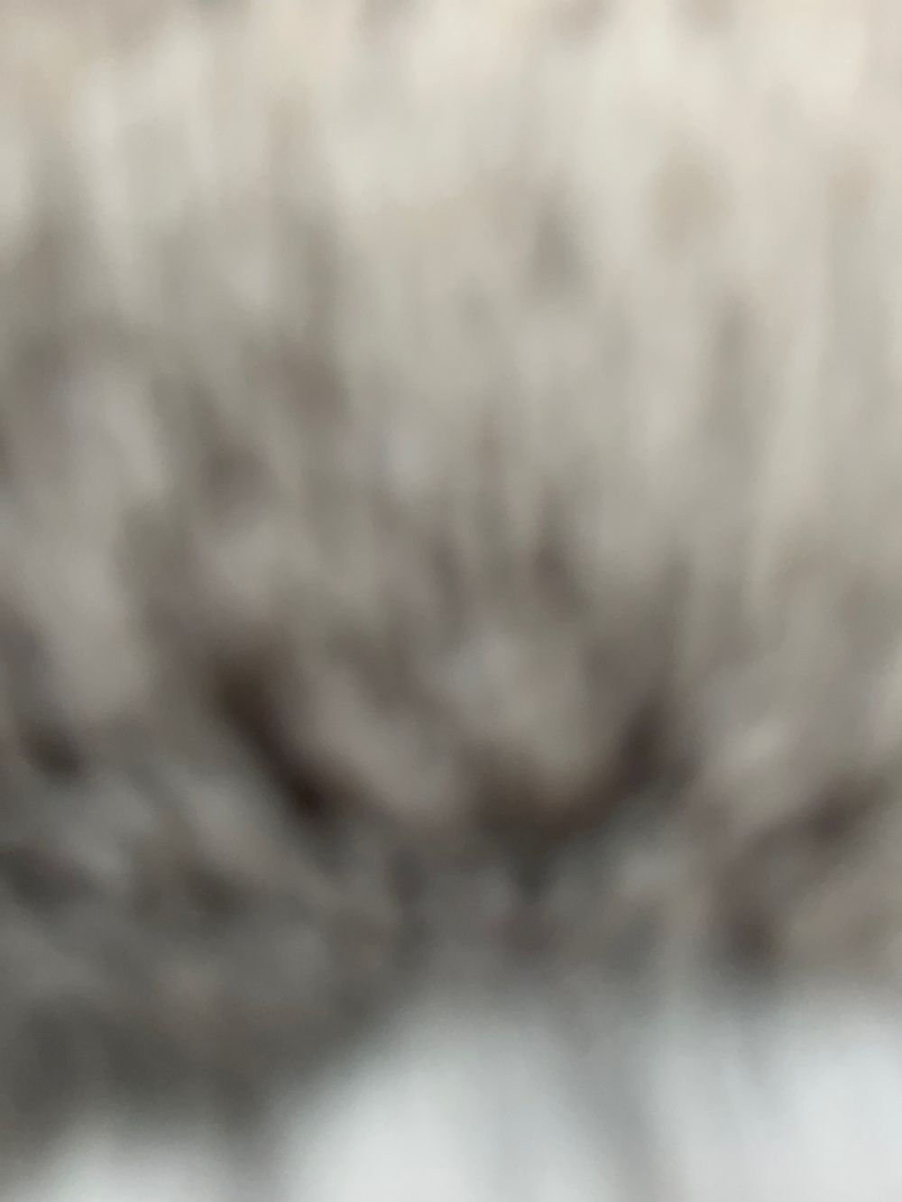 sorgeporge OnlyFans profile picture