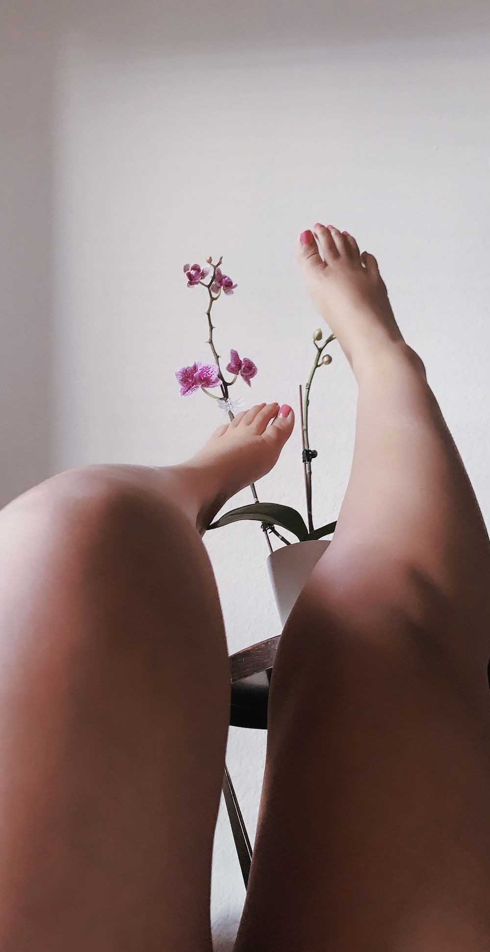 theesweetfeet OnlyFans profile picture