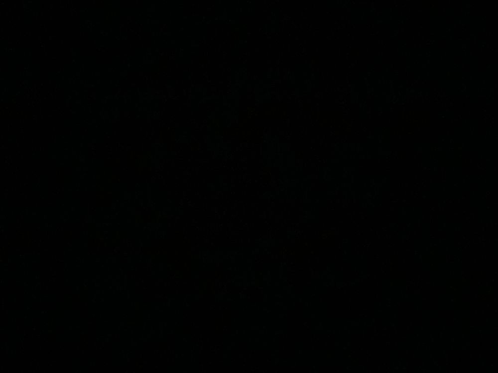 deleted_333 OnlyFans profile picture