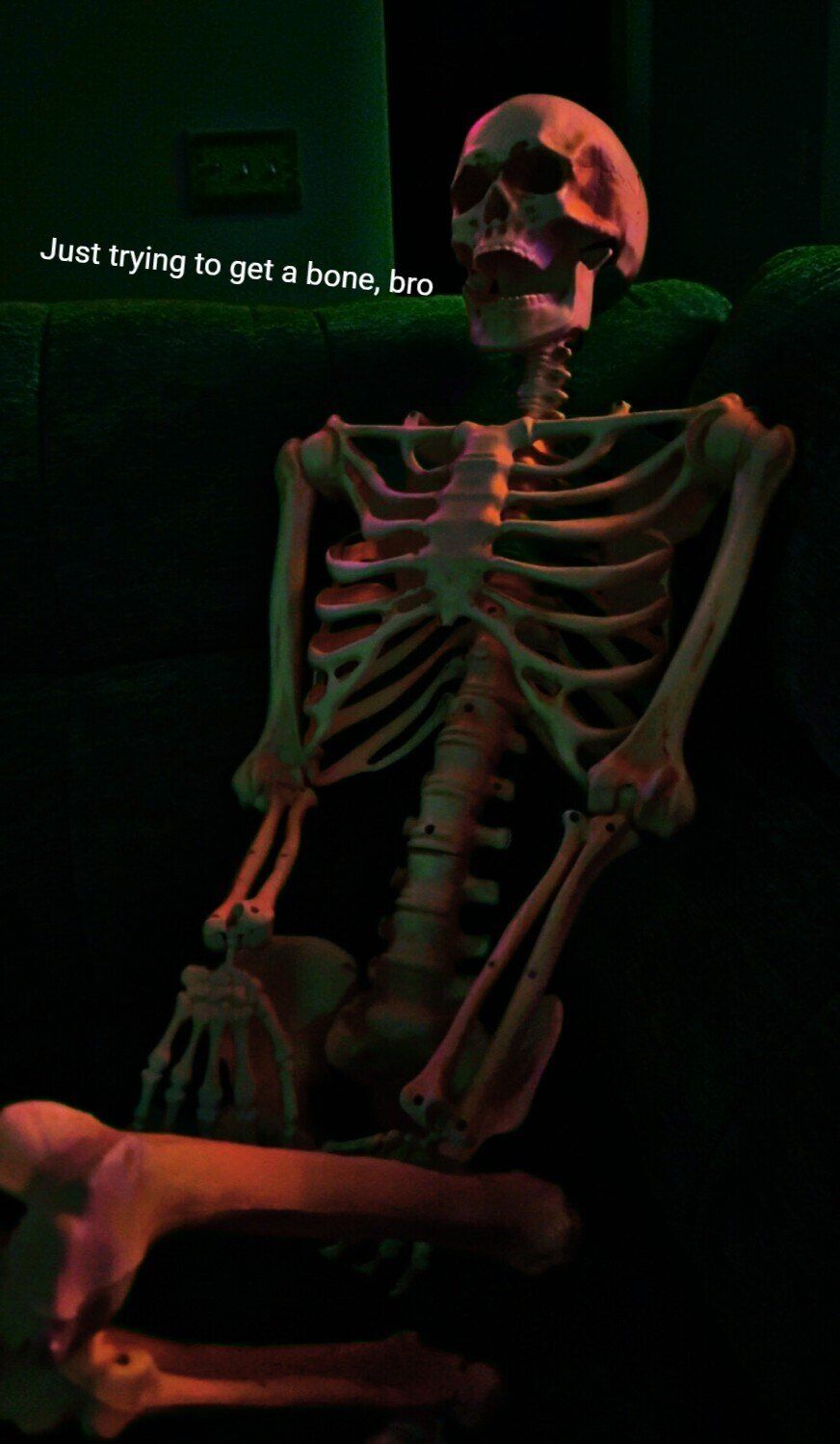 sircrunkle OnlyFans profile picture