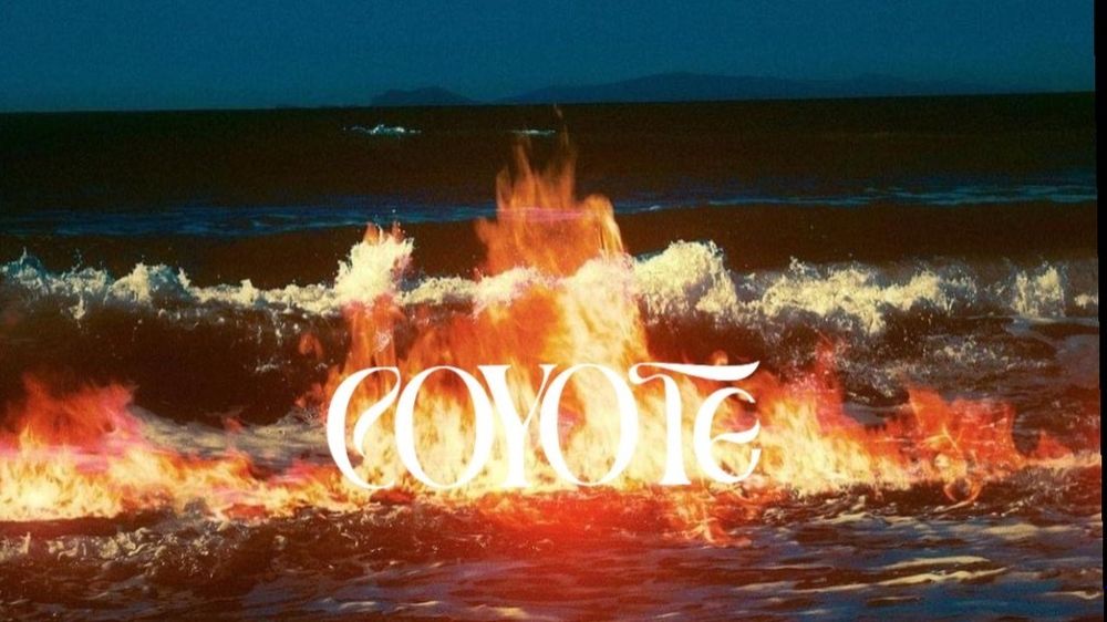 rawcoyote OnlyFans profile picture