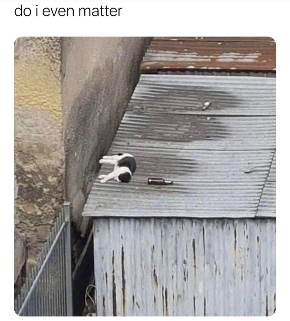 yaya_97 OnlyFans - Stats, Graphs, Photos & Profile Comparisons