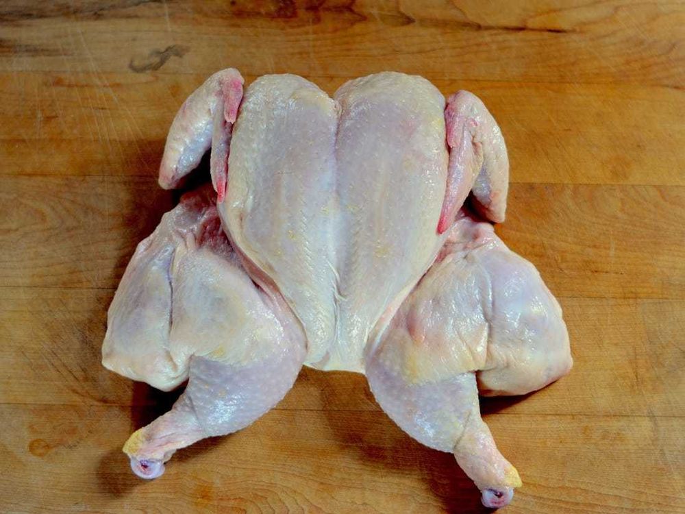 shellester OnlyFans profile picture