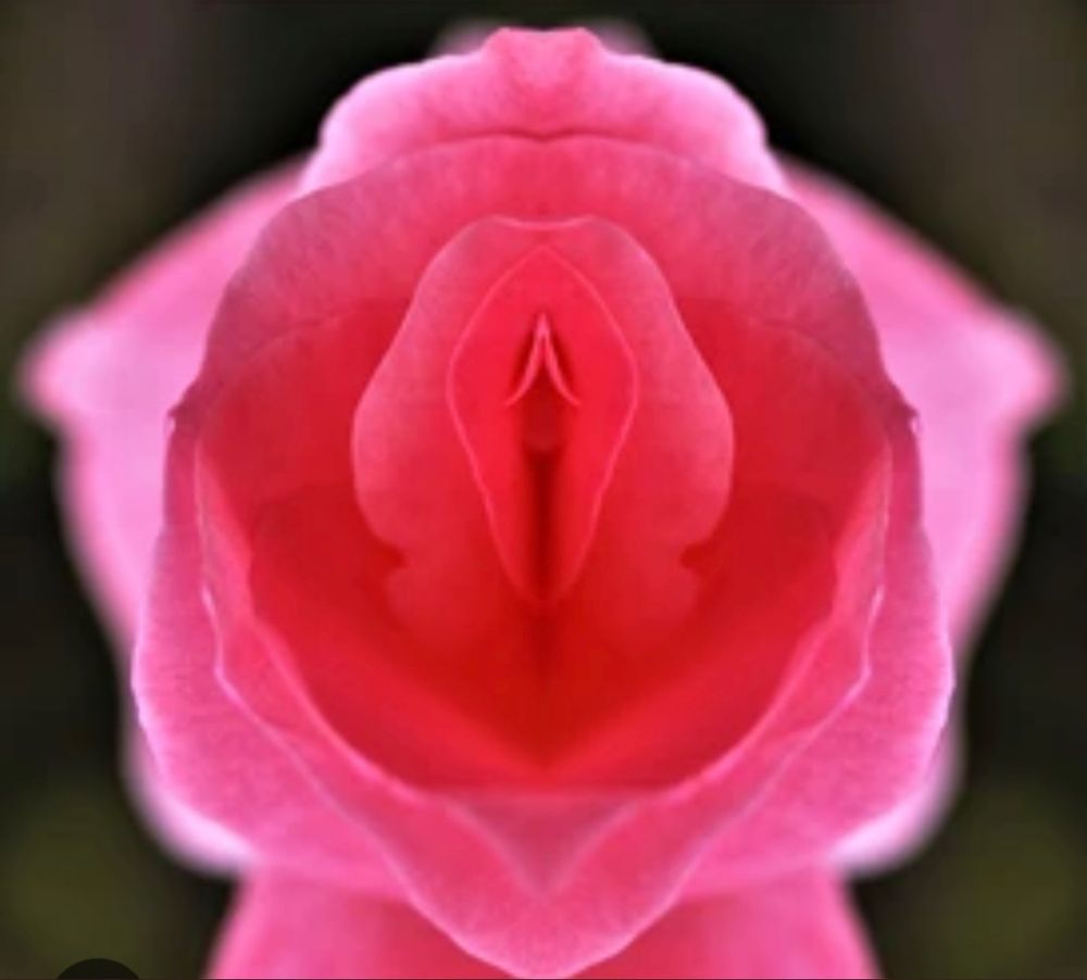 iammartacarr OnlyFans profile picture