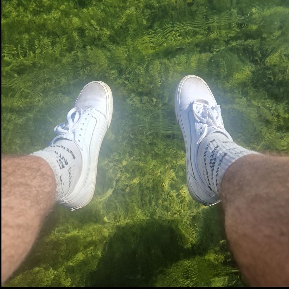 theaveragefellow OnlyFans profile picture