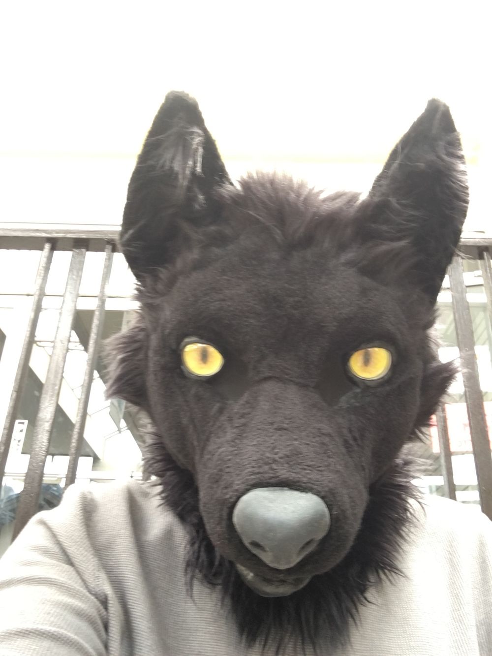 breedthewolf1 OnlyFans profile picture