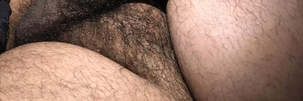 bearbardo OnlyFans profile picture