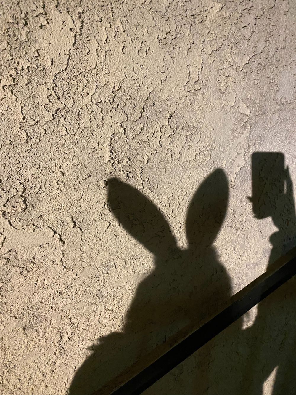 petitebunney OnlyFans profile picture