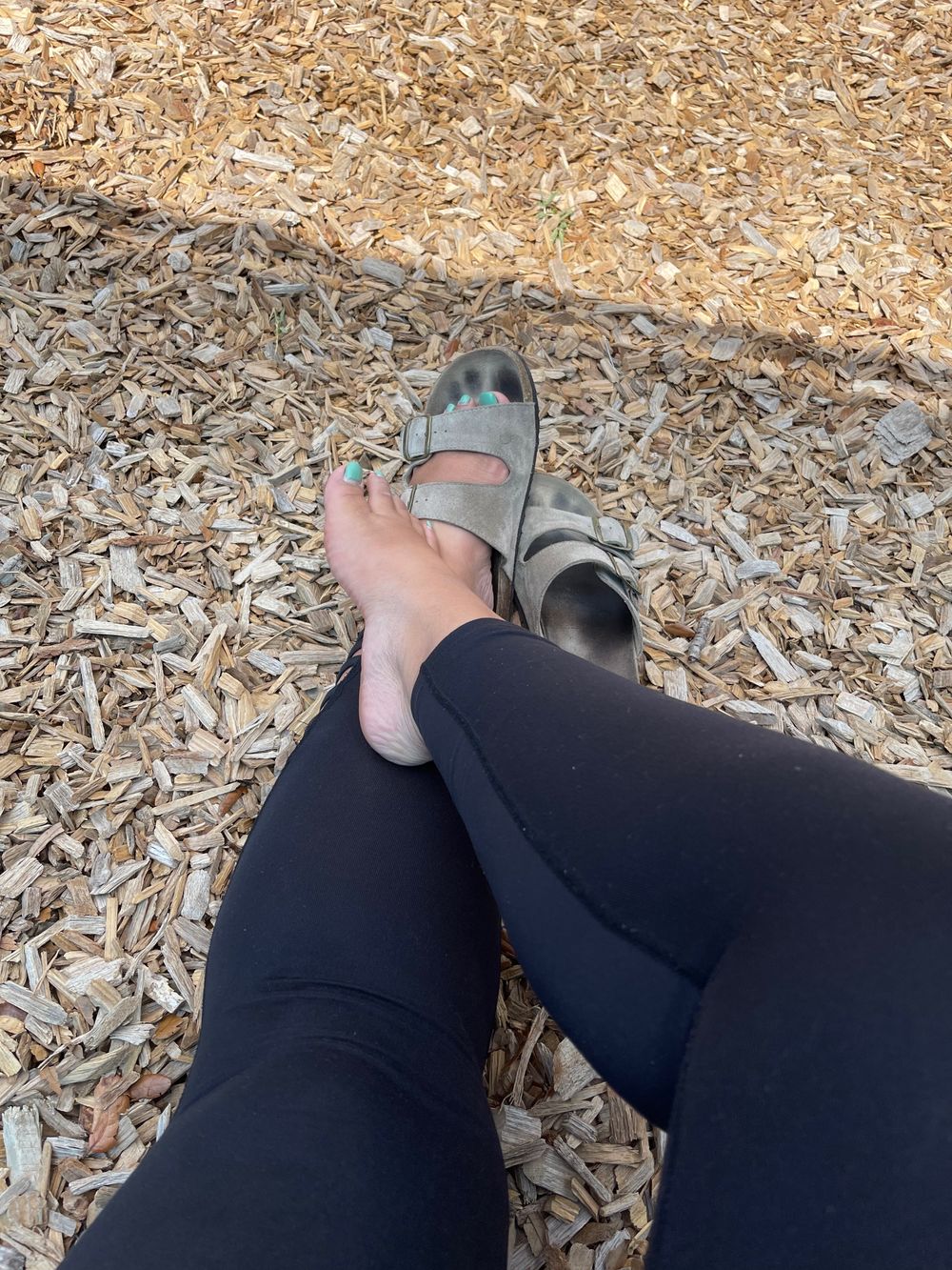 feeterflies OnlyFans profile picture